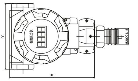 CYB602工业数显压力变送器(图2)