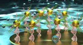 生物传感器的出现为癌症检测提供了更便宜、更快速、更隐蔽的新选择 (图2) 生物传感器的出现为癌症检测提供了更便宜、更快速、更隐蔽的新选择 (图2)