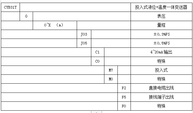 CYB31T 投入式液位+温度一体化变送器(图4)